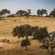 rally_raid_portugal2025_stage4.jpg